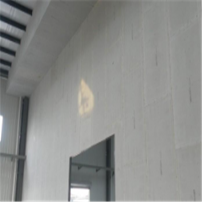 金台宁波ALC板|EPS加气板隔墙与混凝土整浇联接的实验研讨